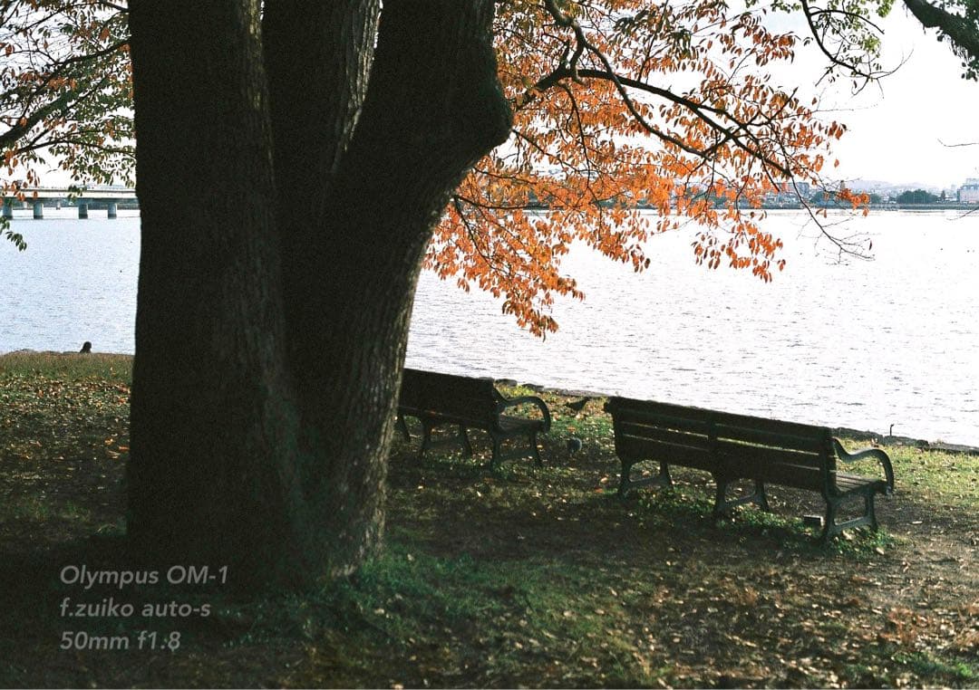 OLYMPUS OM-1★完動品＊美品＊初期保証★作例多数★