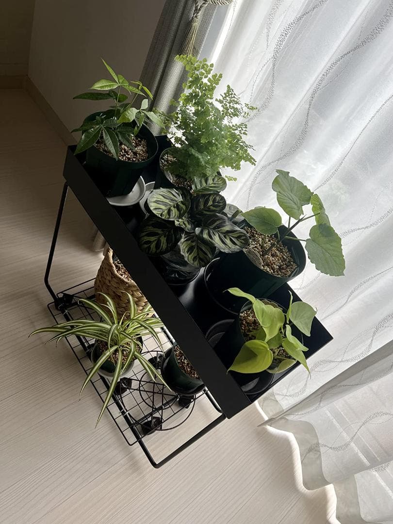 プランタースタンド エレガンス アイアン トレイ付き