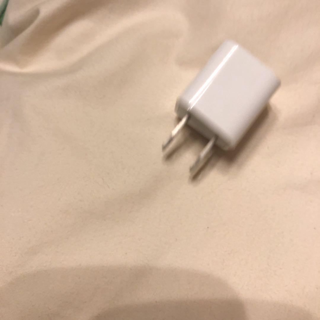 れおんの根っこ