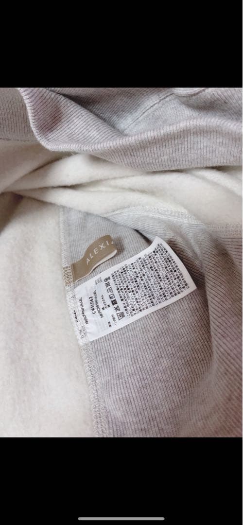 トップス champion for ALEXIA STAM Sweatshirt