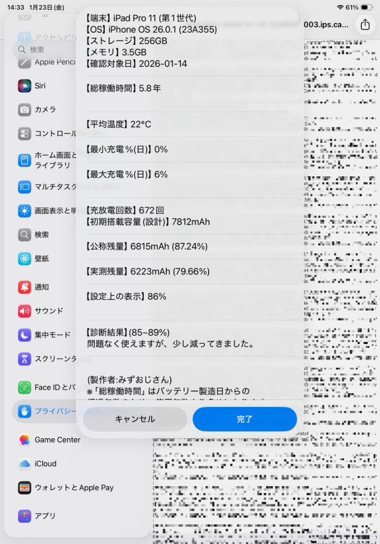 iPad Pro 11 256GB Wi-Fi+Cellular （第1世代）