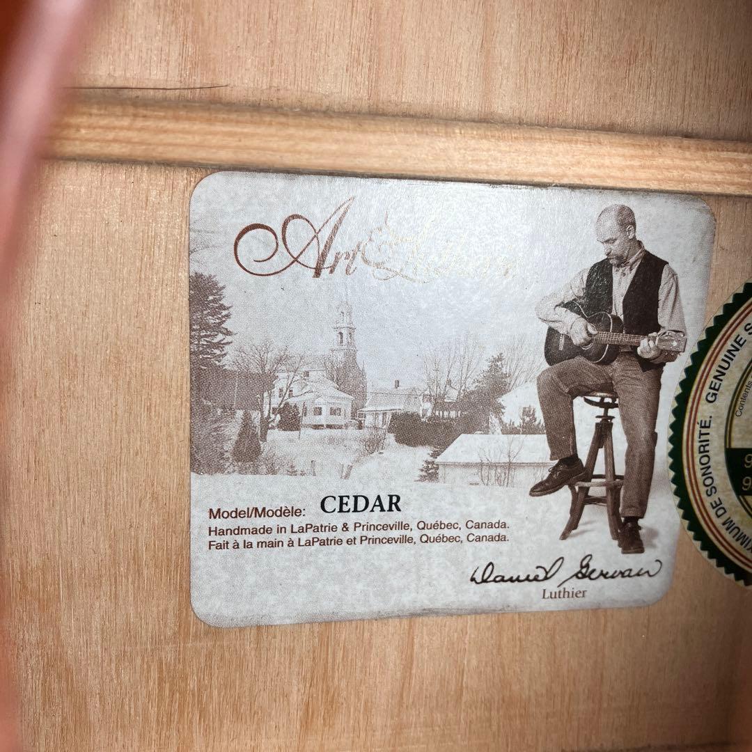 【ケース付】アートルシアー　Dreadnought CEDAR