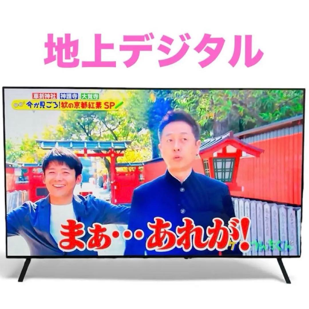LG テレビ　55型 4K 有機EL OLED55A2PJA AIexa搭載