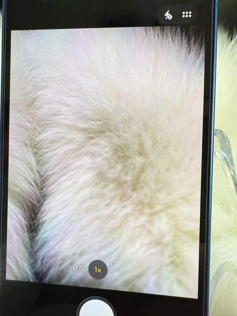 iphone 13mini 256GB ブルー SIMフリー国内版 BT100%