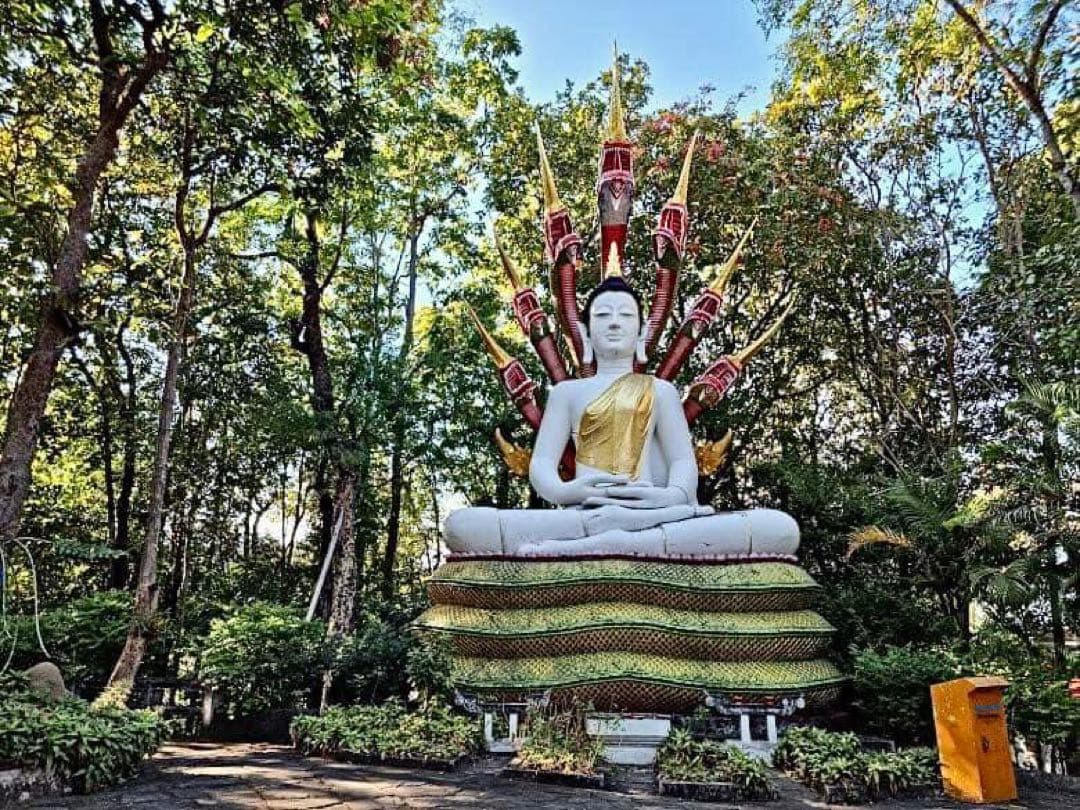 LP Paiben《2528 綠龍藥師佛》薬師如來