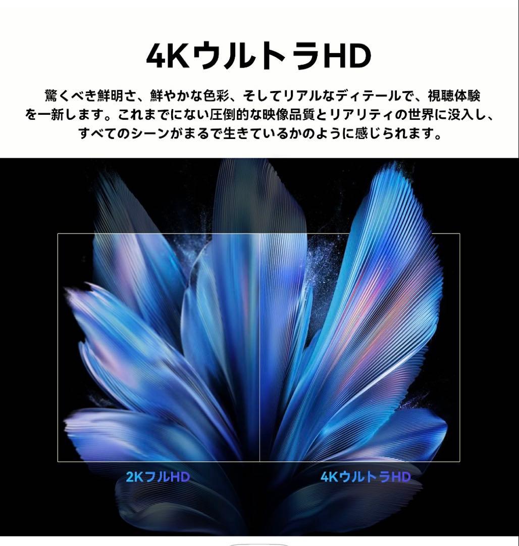 ★FPD チューナーレス テレビ4K 65インチ Google TV 65V型★