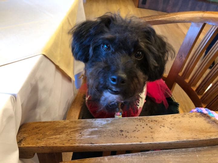 小夏確認用写真