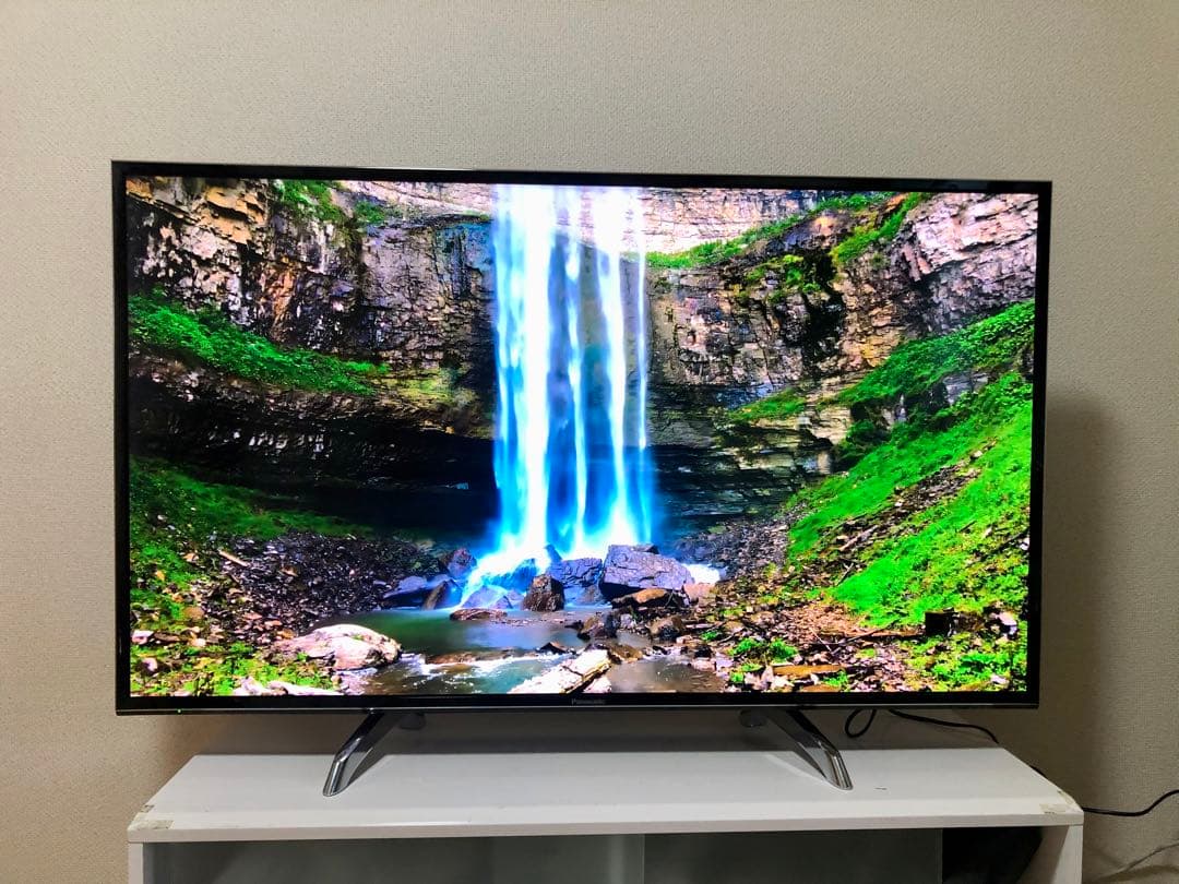 Panasonic 49V型 4K液晶テレビ VIERA豊富ネットコンテンツ内蔵