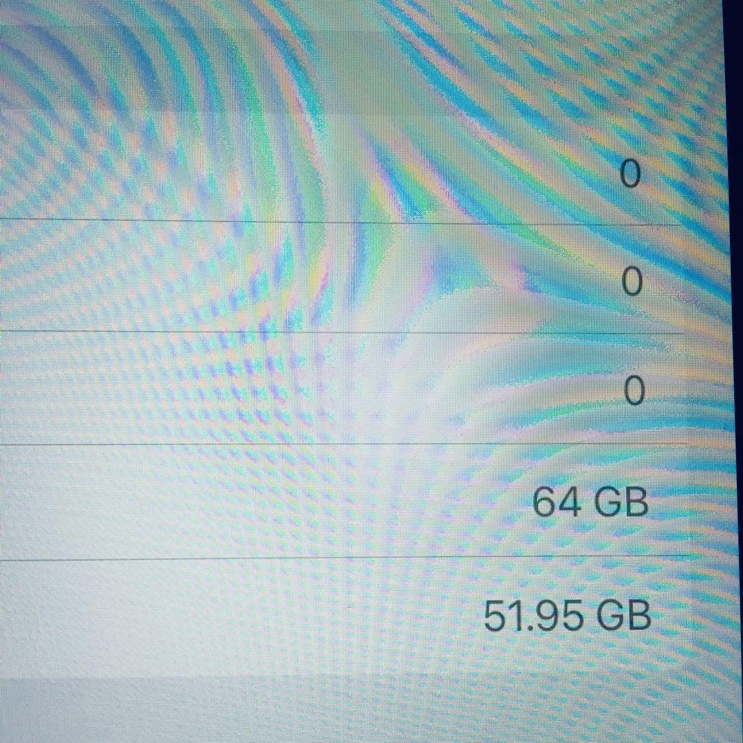 美品 iPad Pro 10.5 64GB A1701 バッテリー良好