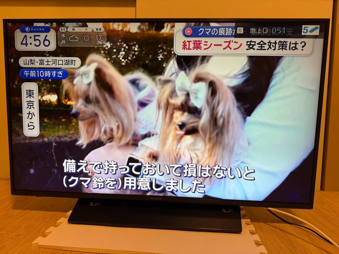 パナソニックTH-43GX850 43型 4Kネット動画2019年製　液晶テレビ