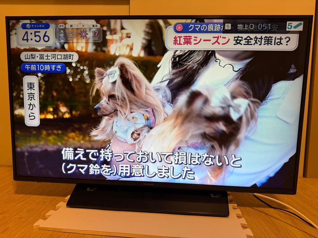 パナソニックTH-43GX850 43型 4Kネット動画2019年製　液晶テレビ