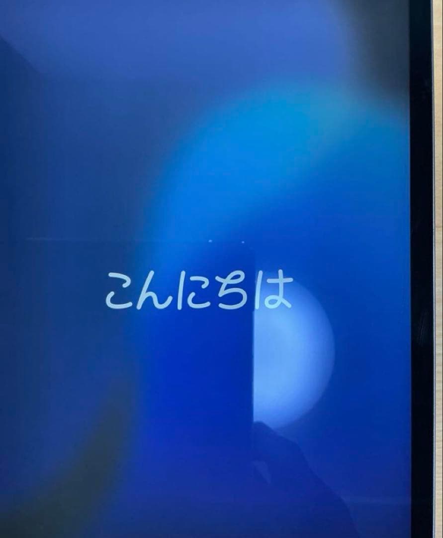 iPad Pro 11インチ 第1世代 Wi-Fi+Cellular 1TB