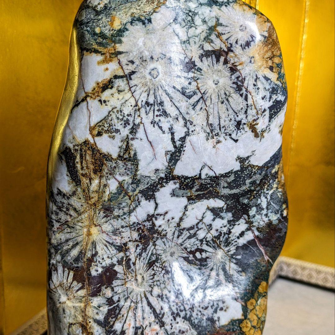 菊花石 岐阜県根尾谷産4.0㌔ 鑑賞石 観賞石 水石 盆石 鉱物 天然石 置物