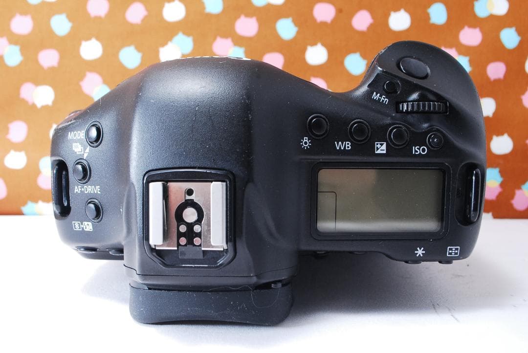 ✨元箱付き✨付属品充実✨Canon EOS-1DX ボディ