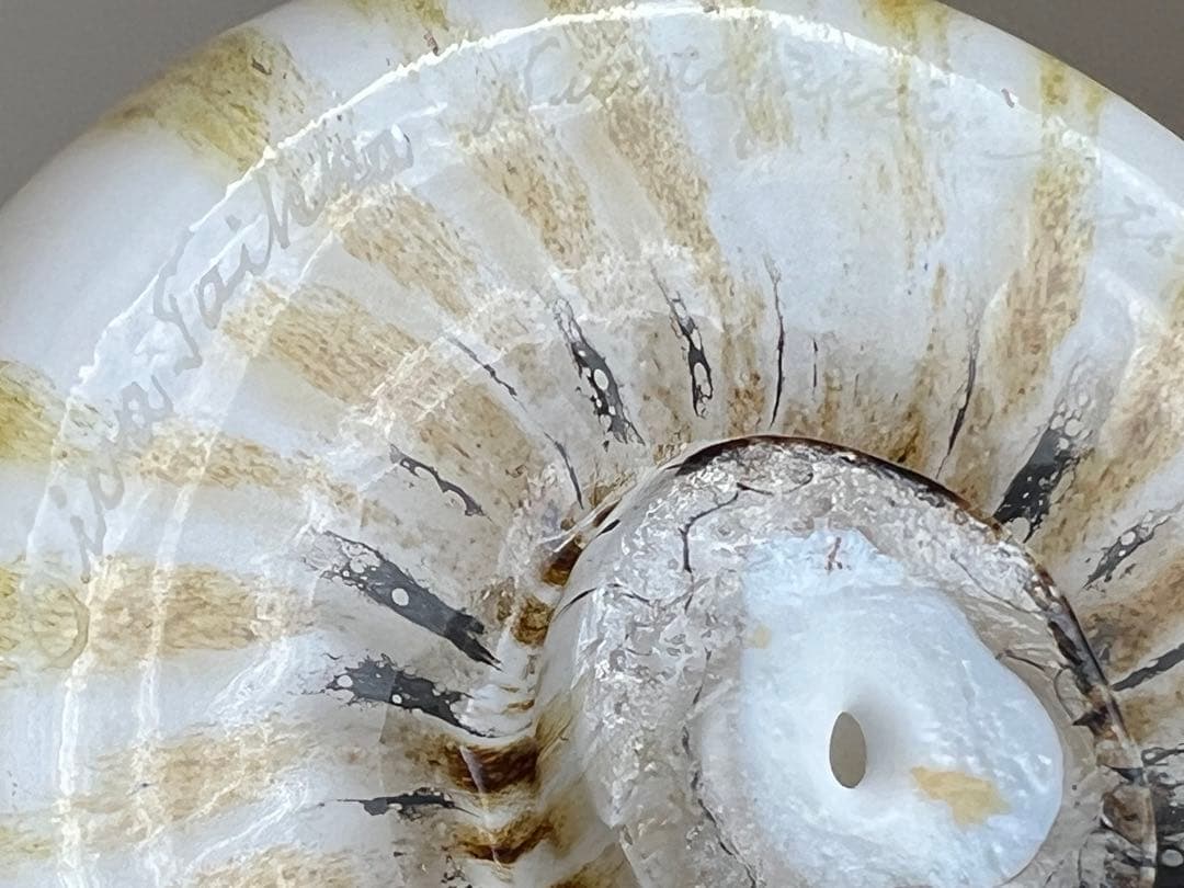 Eagle Owl フクロウ イッタラ バード オイバ・トイッカ