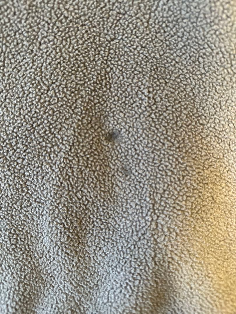 2000's Patagonia synchillaスナップT サイズM