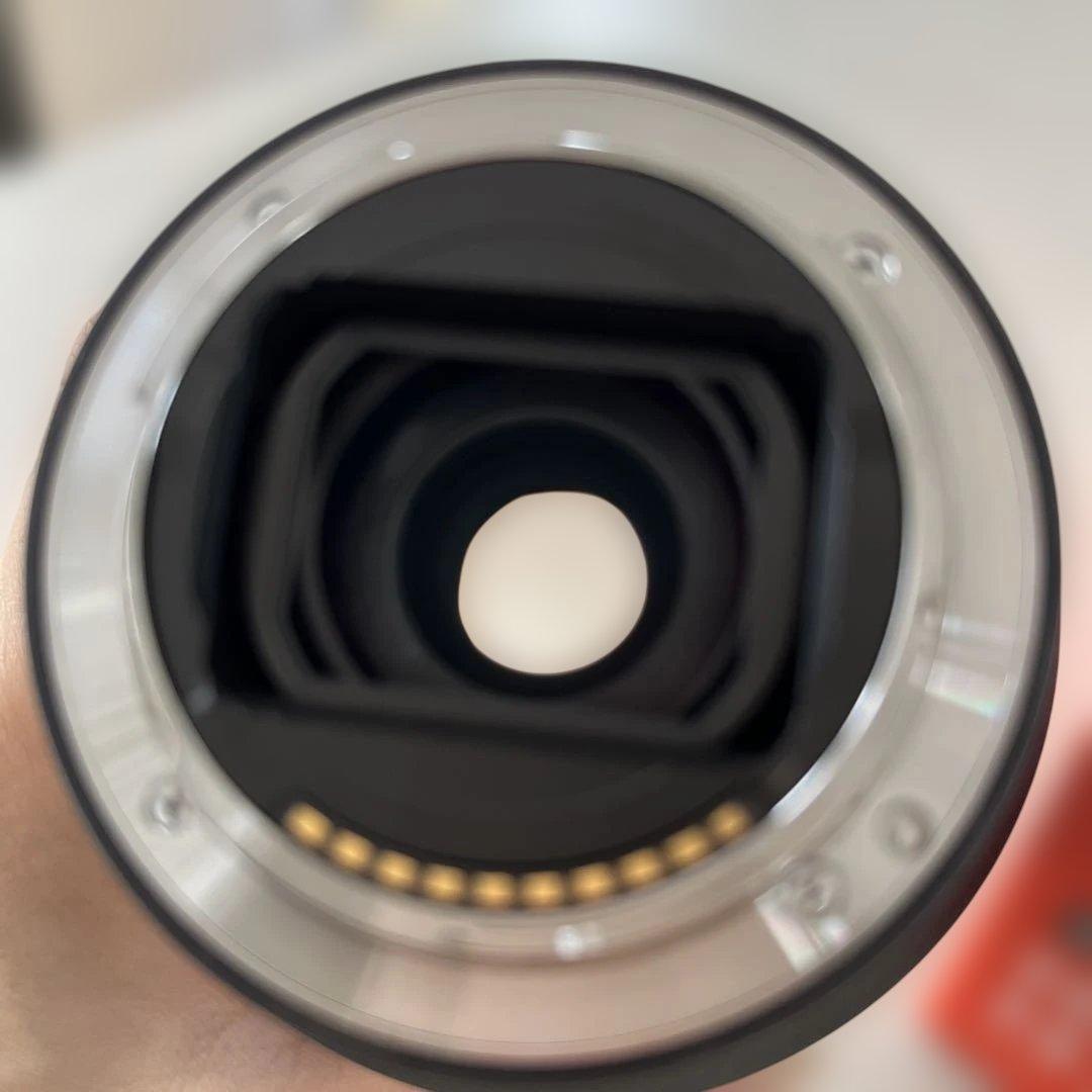 【カビ】SONY FE 24-105mm F4 G OSS ズームレンズ