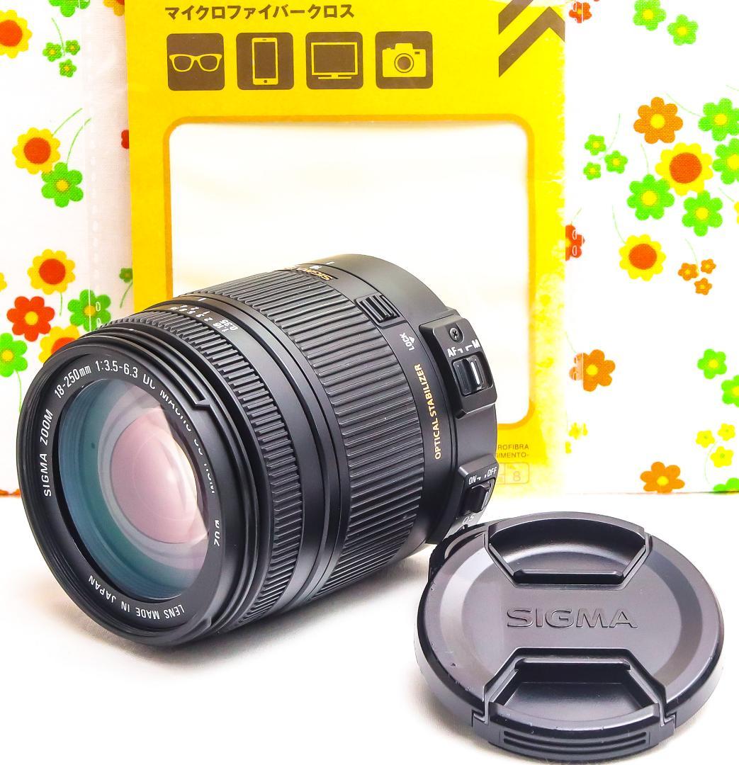 美品 シグマ 18-250mm DC OS HSM ☆ニコン用☆高倍率レンズ