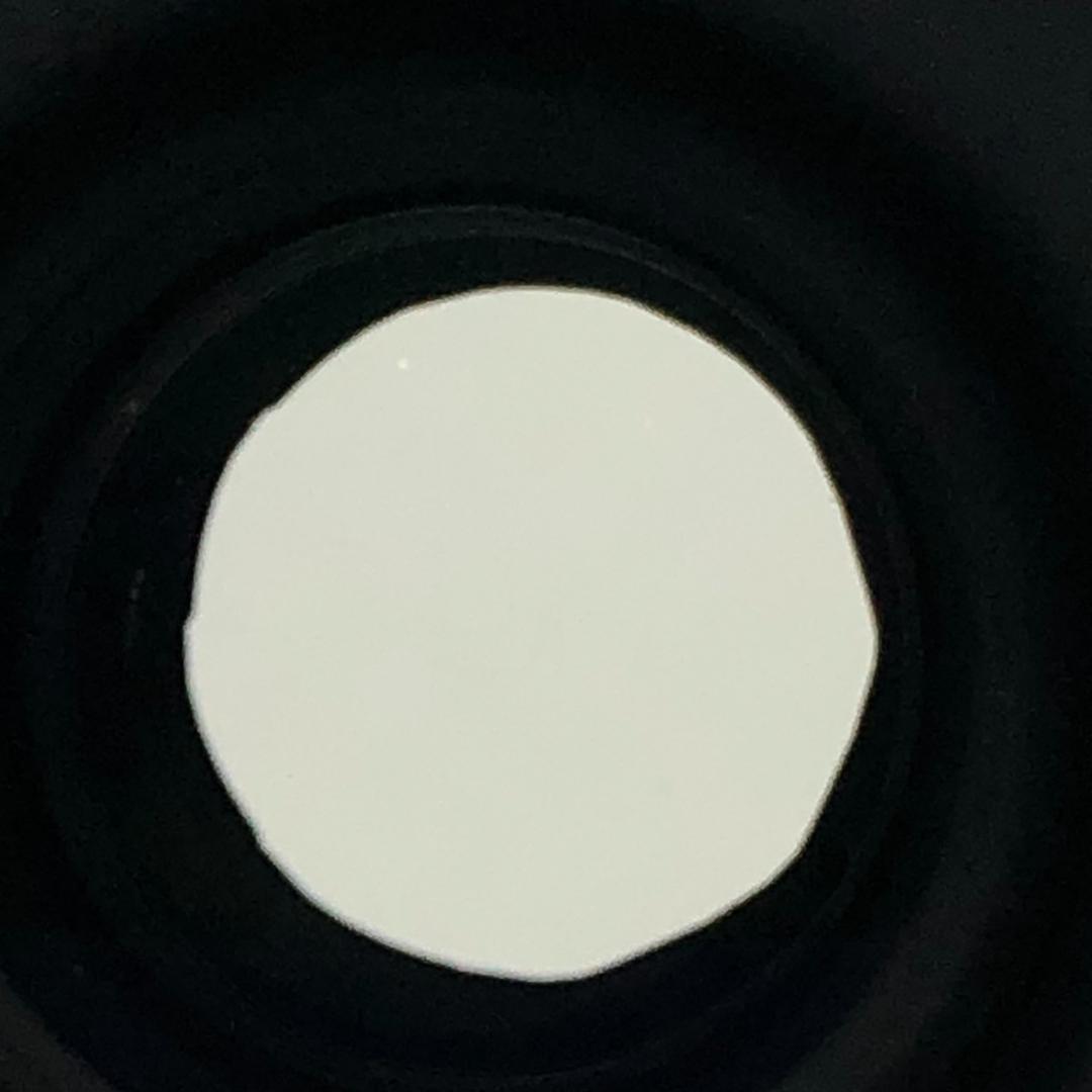 【C6551】AF-S NIKKOR 55-300mm 1:4.5-5.6 G