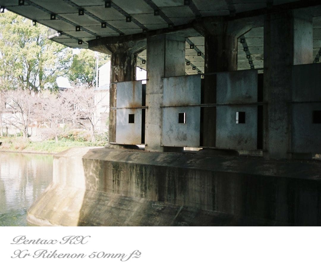 ★希少品＊超美品★pentax kx★富岡光学製/rikenon f2★作例必見