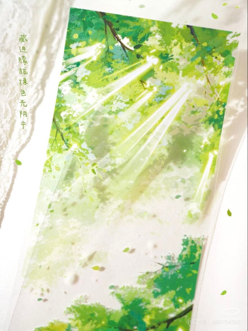 【9328】海外　マステ　5m巻　PETマスキングテープ　木影　四季　背景