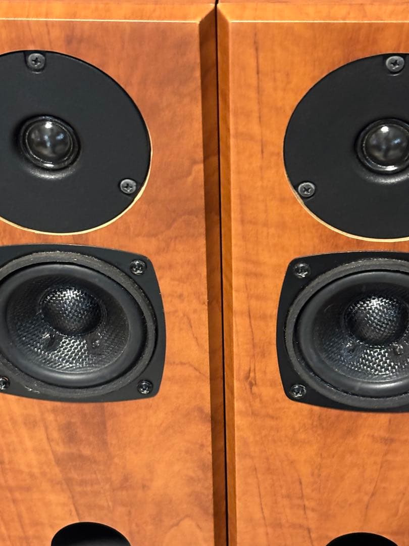 FOSTEX スピーカー　P2080-E