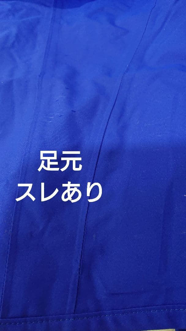 Phoenix スキーウェア上下 青色 メンズ