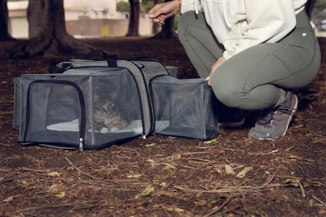 訳あり ペティーク ハッピーキャンパー ペットキャリー キャリーバッグ 犬 猫
