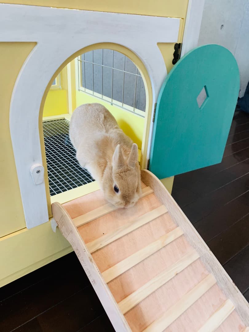 【もちつき】壱番館　北欧デザインペットハウス　うさぎ用ケージ　可愛い
