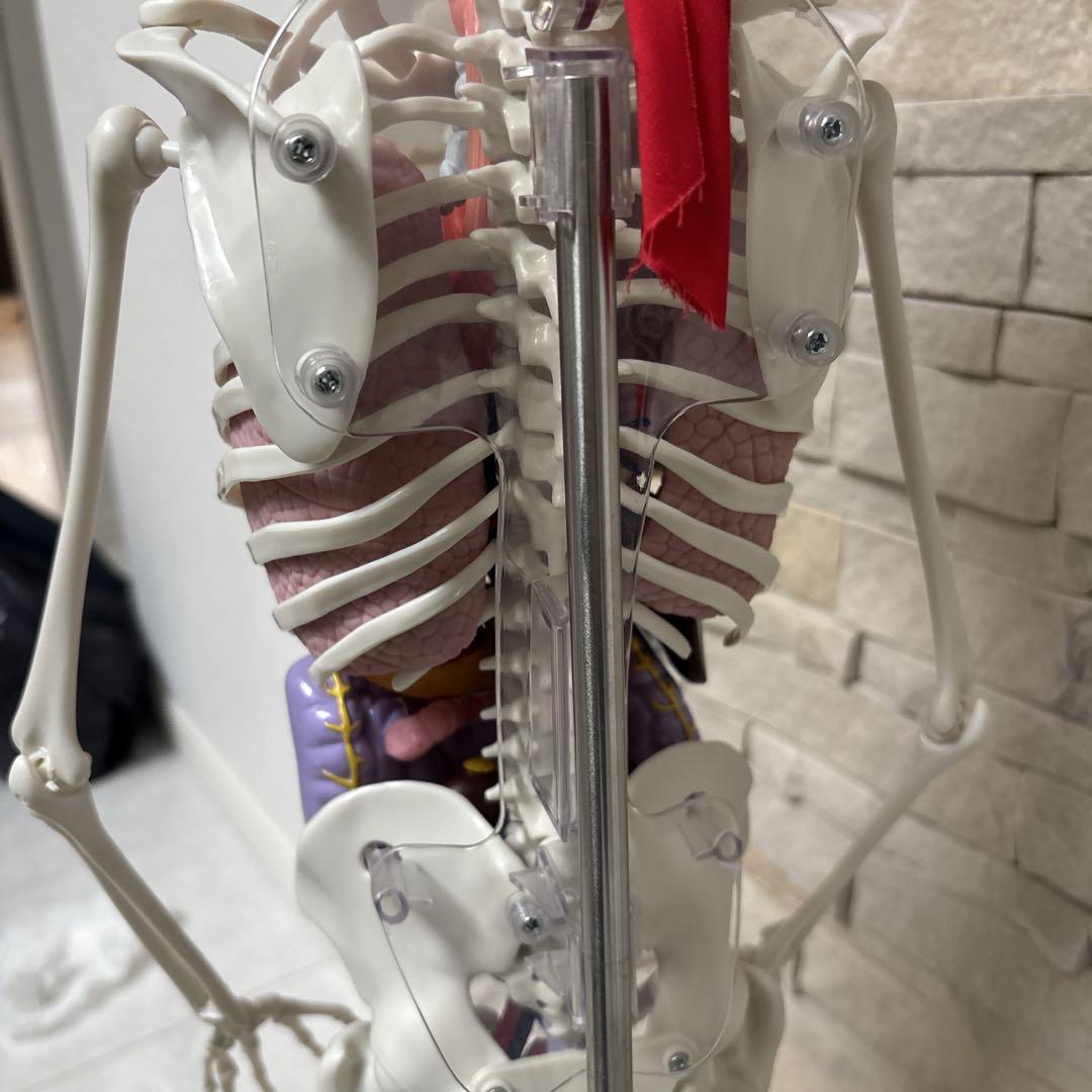 【美品】DEAGOSTINI おしゃべりガイコツ　ホネッキー