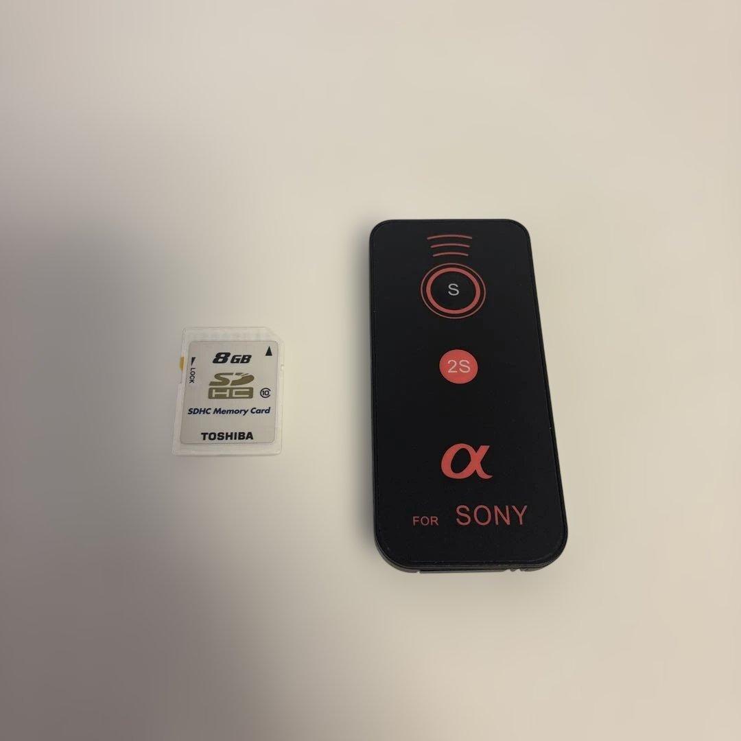 SONY NEX-5N + 18-55 OSS(SEL1855) 箱付 SD付