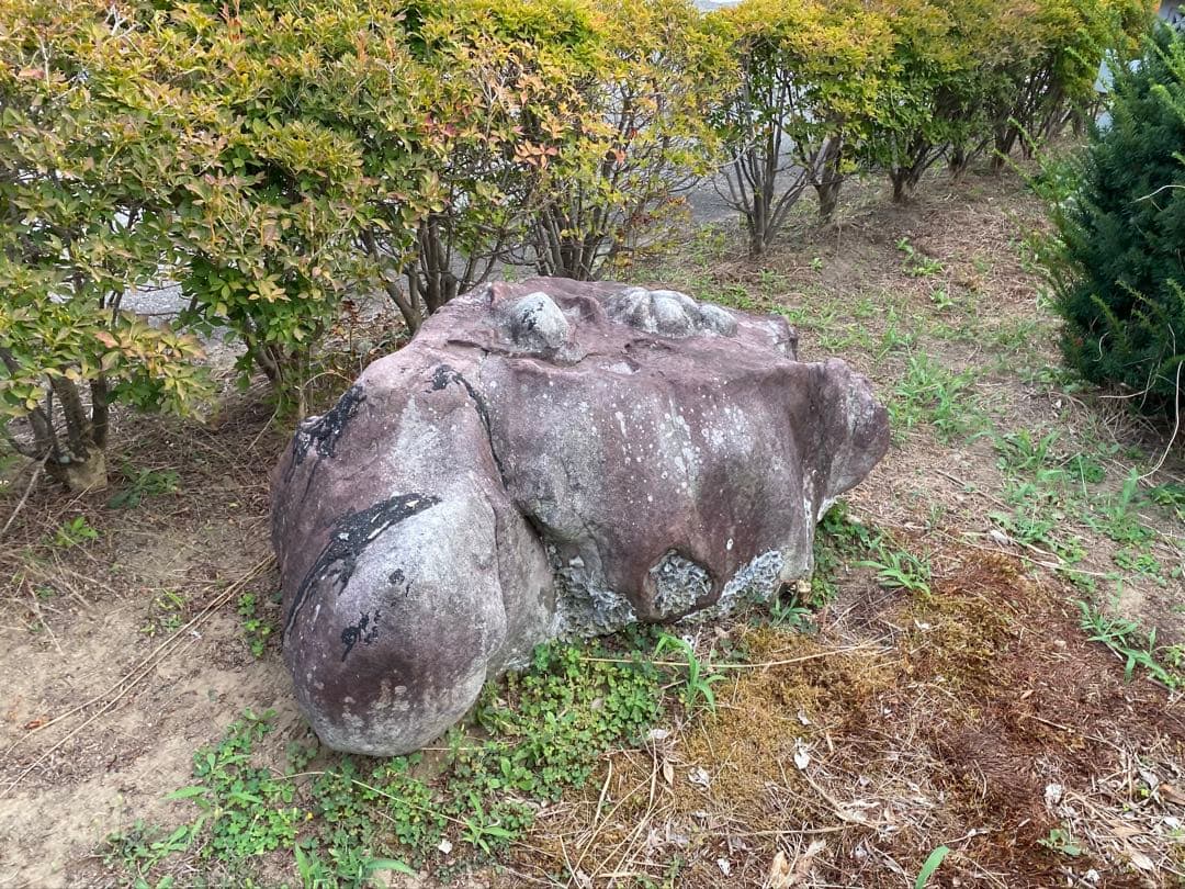 紫灰色 庭石 大 自然石 約130×70×55㎝【石川県引き取り】まとめ割