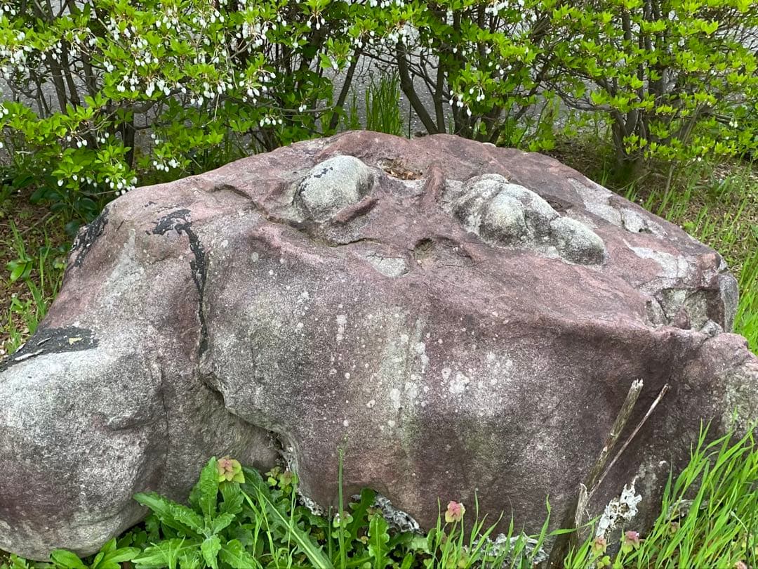 紫灰色 庭石 大 自然石 約130×70×55㎝【石川県引き取り】まとめ割