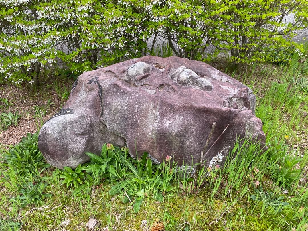 紫灰色 庭石 大 自然石 約130×70×55㎝【石川県引き取り】まとめ割