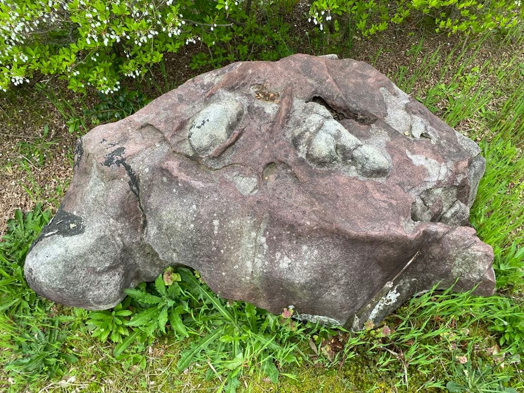 紫灰色 庭石 大 自然石 約130×70×55㎝【石川県引き取り】まとめ割