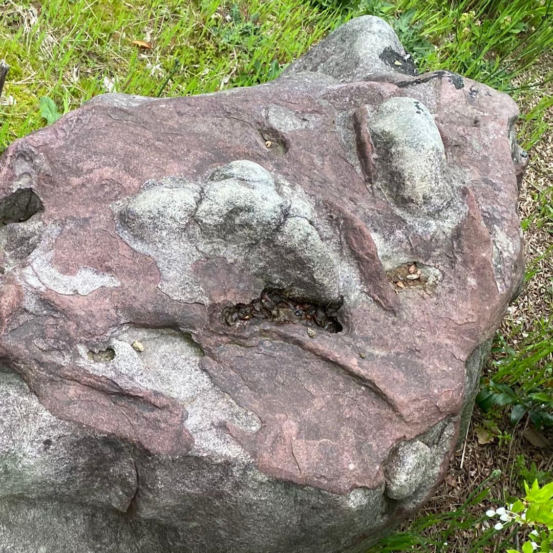 紫灰色 庭石 大 自然石 約130×70×55㎝【石川県引き取り】まとめ割