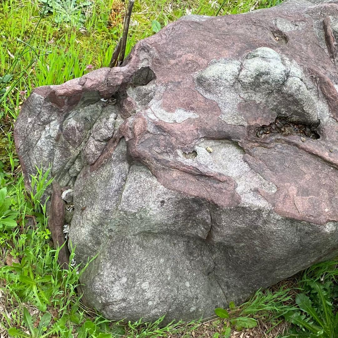 紫灰色 庭石 大 自然石 約130×70×55㎝【石川県引き取り】まとめ割