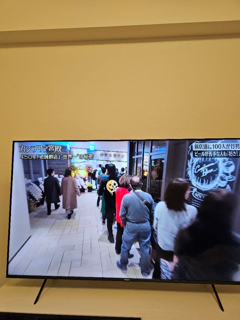 へ*と様 ハイセンス 65E7H 2024年製　細い縦線と横線あり　手渡しOK