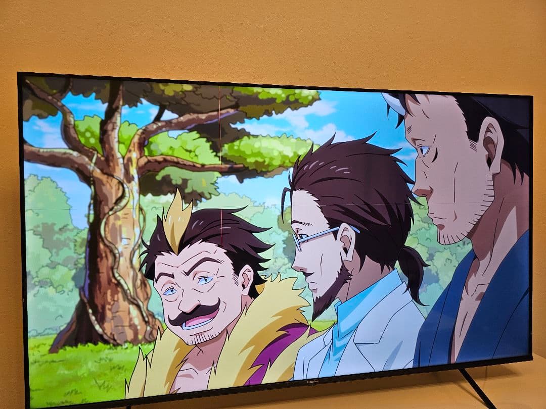 へ*と様 ハイセンス 65E7H 2024年製　細い縦線と横線あり　手渡しOK