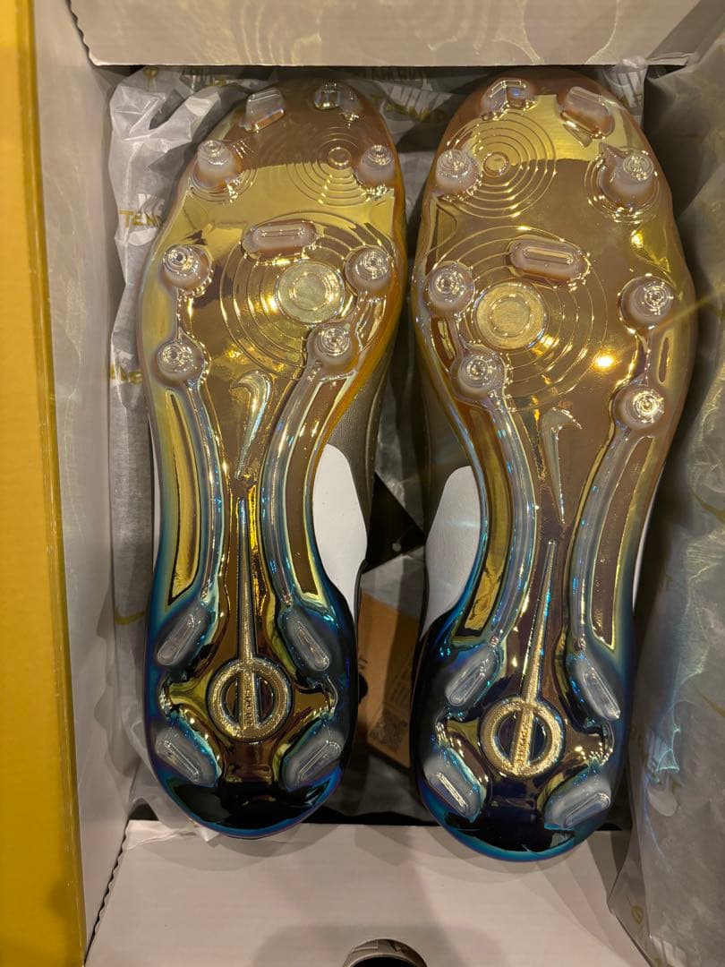 ティエンポレジェンド10 エリート FH FG SE