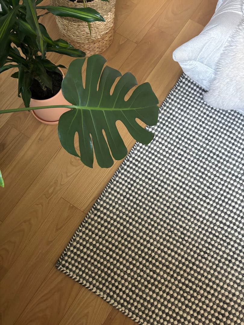 アクタス　新品同様　美品　BOROBORO ラグ　チャコール　グレー