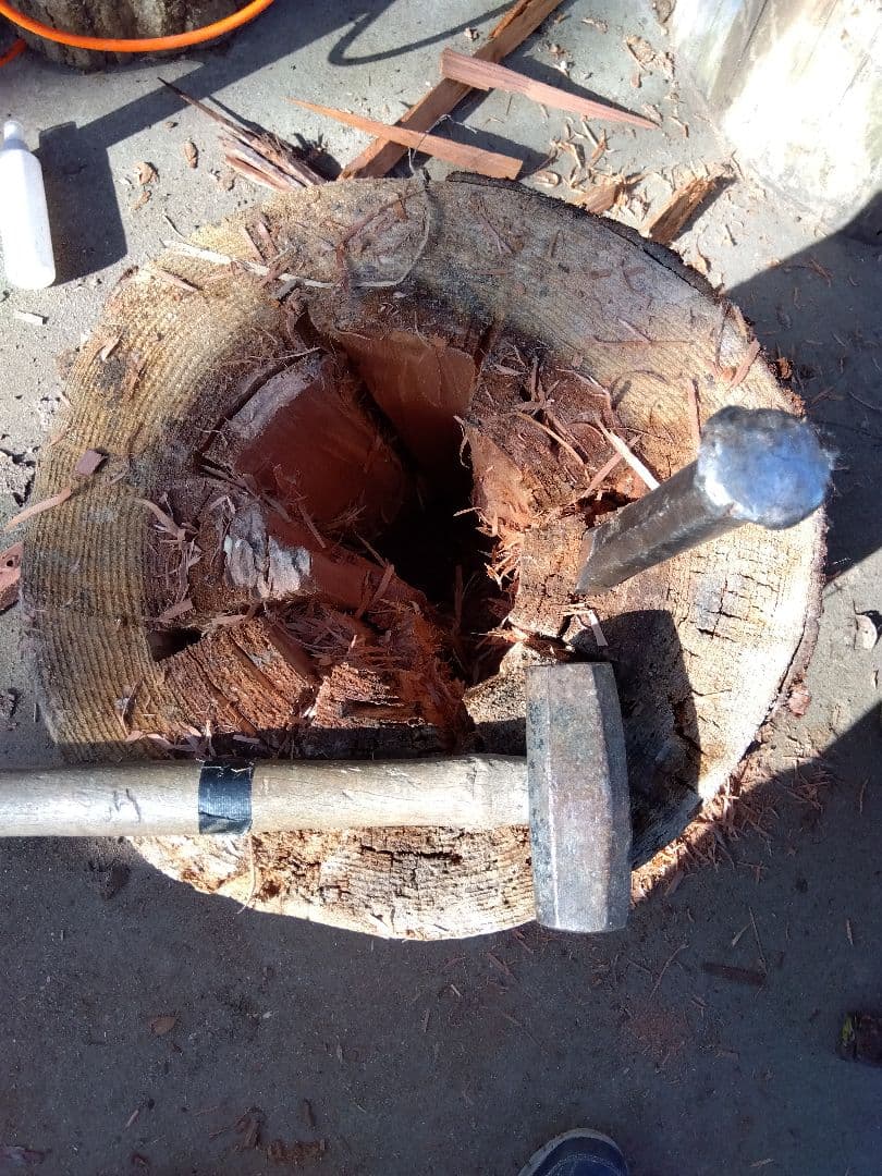 みつばち飼育箱、昆虫飼育用 中空洞木材 杉材 樹洞 くり抜き 丸洞 丸太