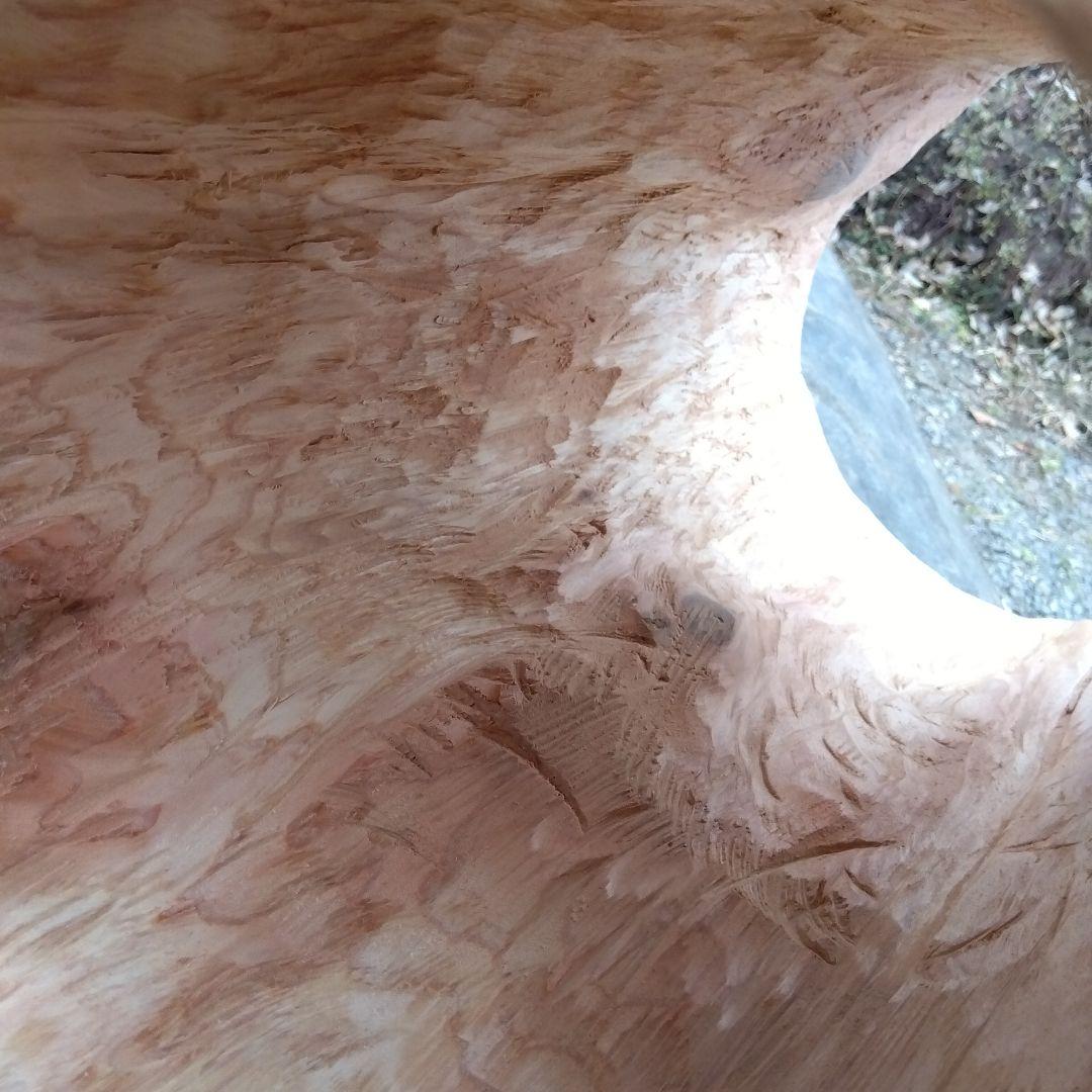 みつばち飼育箱、昆虫飼育用 中空洞木材 杉材 樹洞 くり抜き 丸洞 丸太