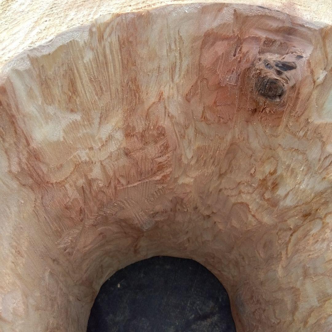 みつばち飼育箱、昆虫飼育用 中空洞木材 杉材 樹洞 くり抜き 丸洞 丸太