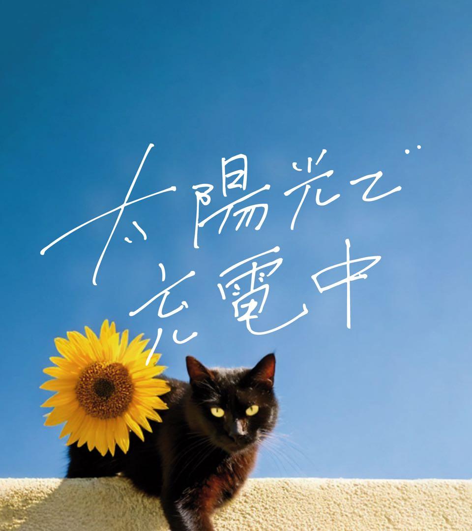 【Eliza】珈琲の輪郭セット