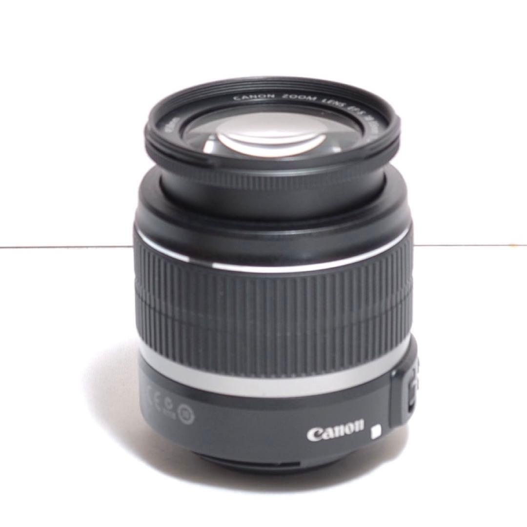 超望遠レンズデビュー✨CANON KISS X9i Wi-Fi接続✨ダブルレンズ