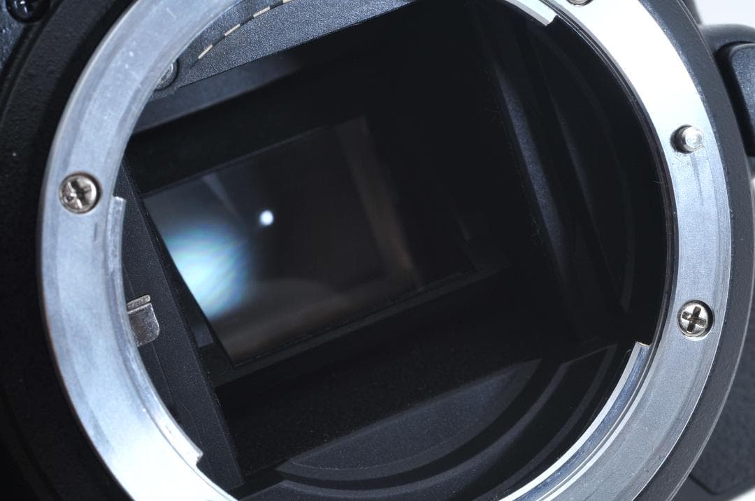 ■新品級■ ニコン Nikon D5500 ≪シャッター660回≫