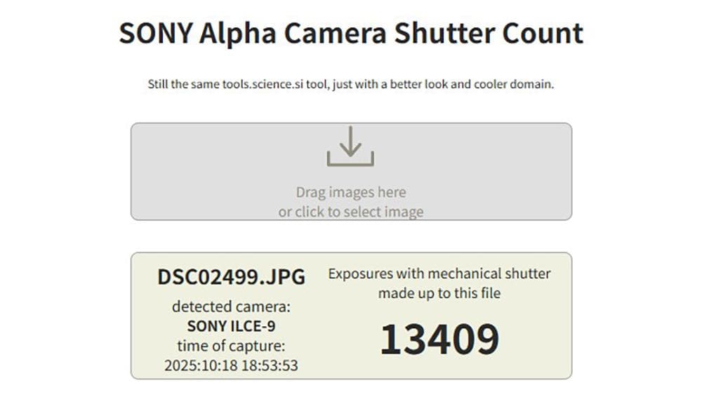 手羽先さん専用