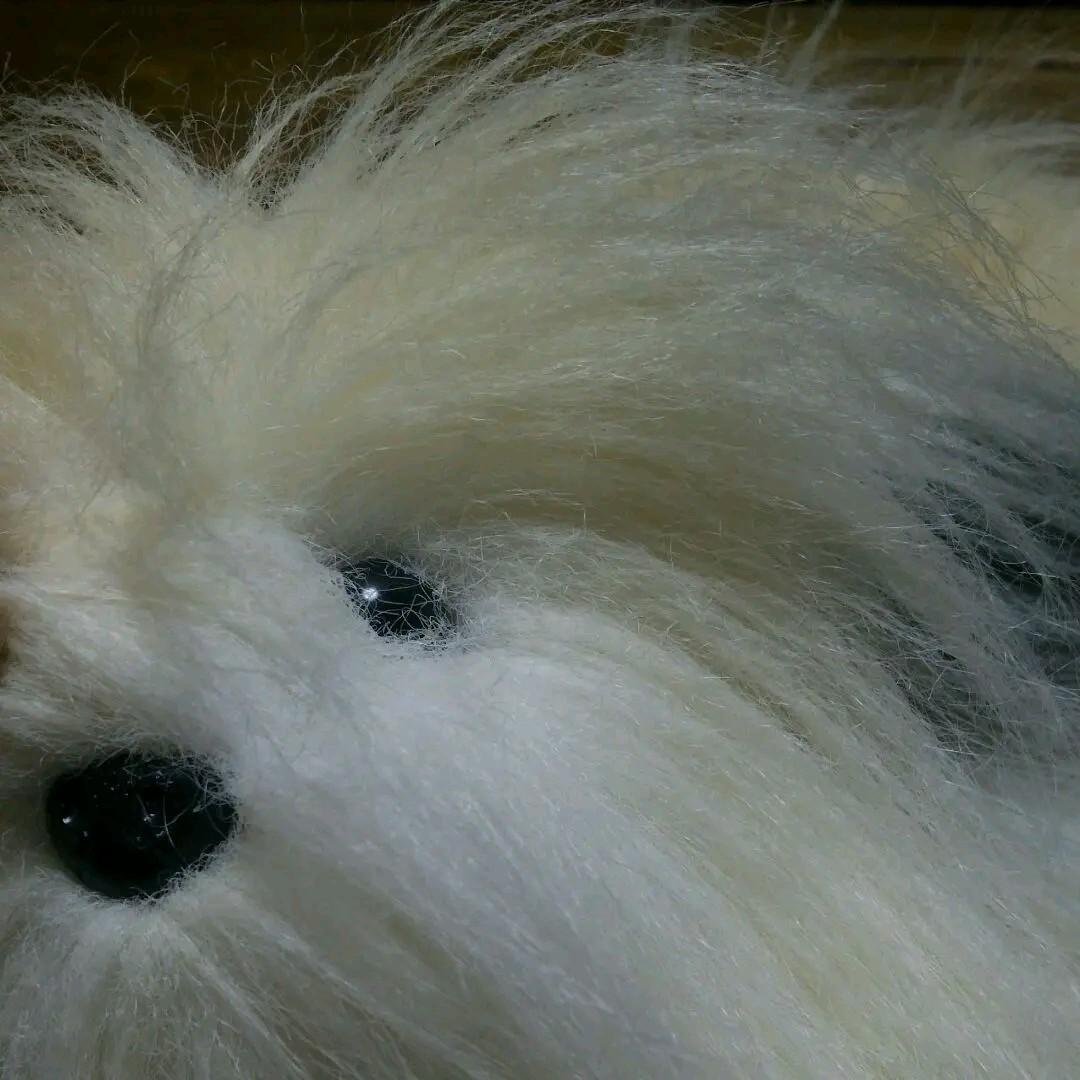 アンティーク　犬ティッシュカバー　レトロ　希少　いぬ　羊毛フェルト風　インテリア