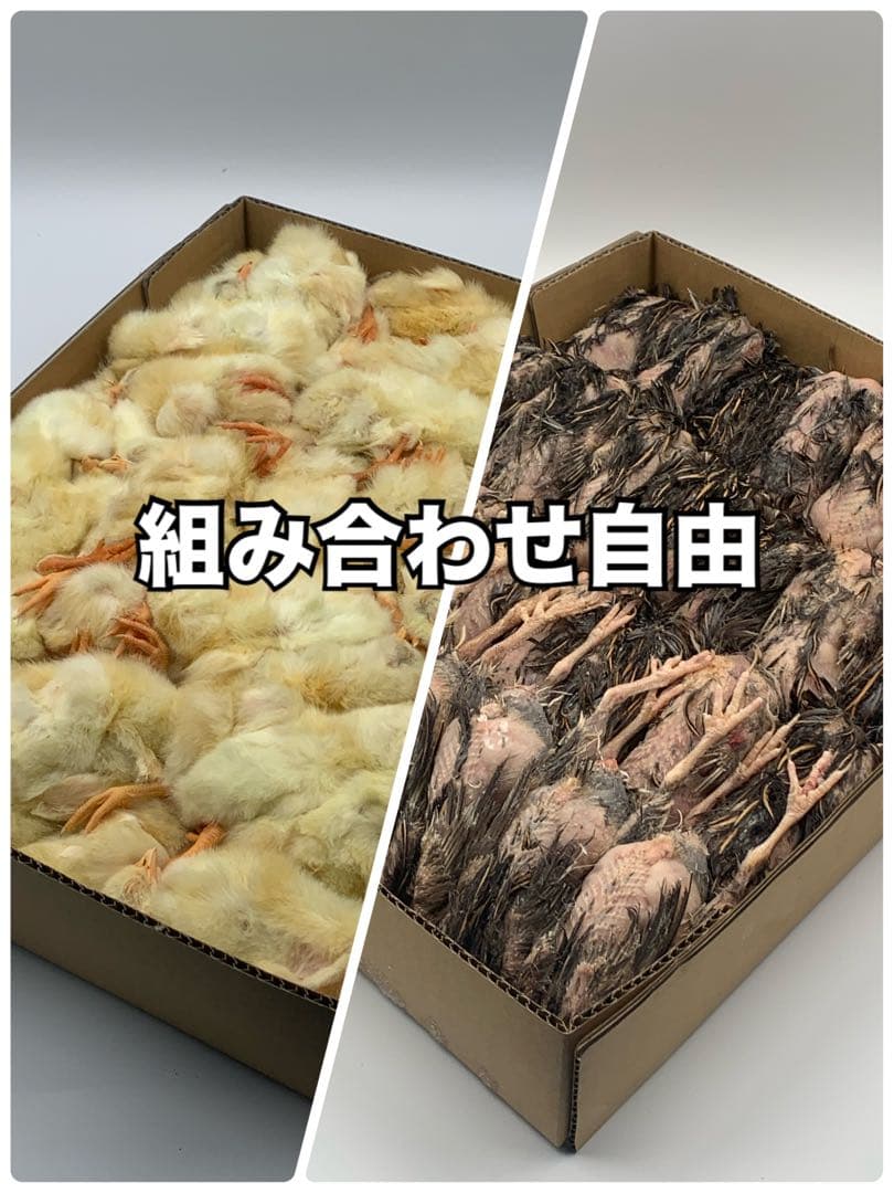 冷凍ウズラ5kg×2段【送料込】